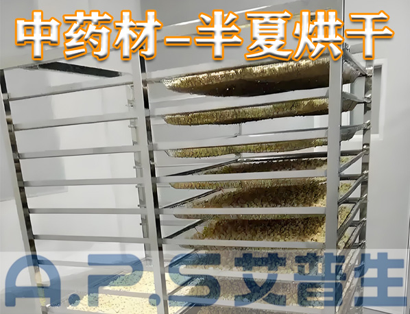 中藥材半夏烘干，除了傳統(tǒng)的烘干方法，首選推薦使用艾普生空氣能熱泵烘干機(jī)