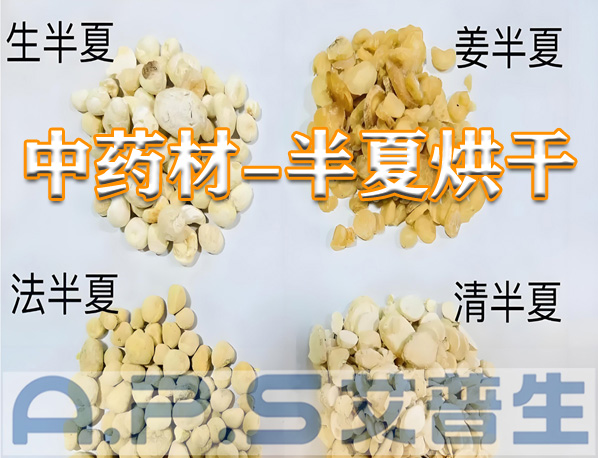 艾普生環(huán)境科技：半夏的烘干方法有哪些？哪一種烘干效果更好？